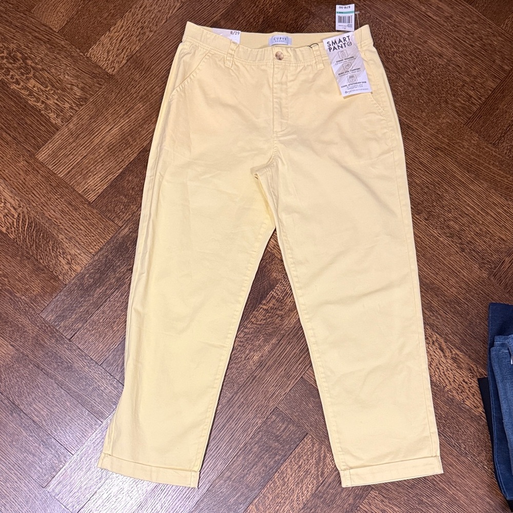 Curve appeal smart pants